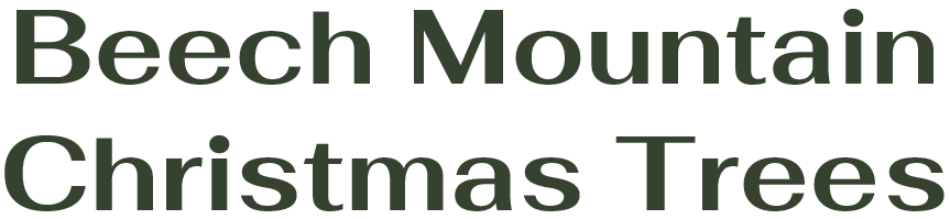 Beech Mountain Christmas Trees